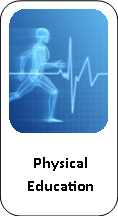 physical education