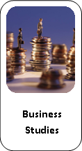 business studies