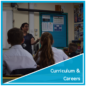 Curriculum and Careers